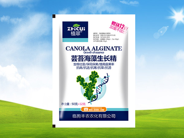 蕓苔海藻生長(zhǎng)精